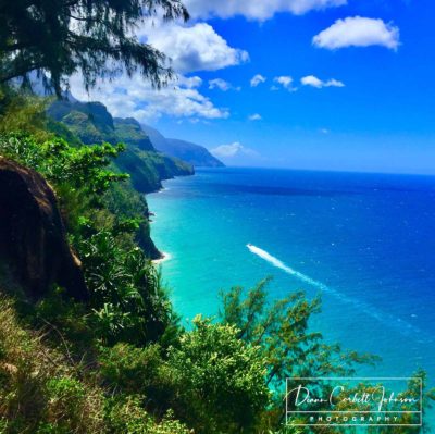 Na pali Coast, Kauai, Hawaii, USA, 2016   - by Diann C. Johnson